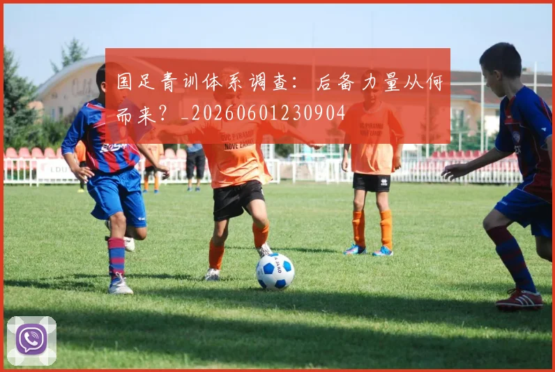 国足青训体系调查：后备力量从何而来？_20260601230904